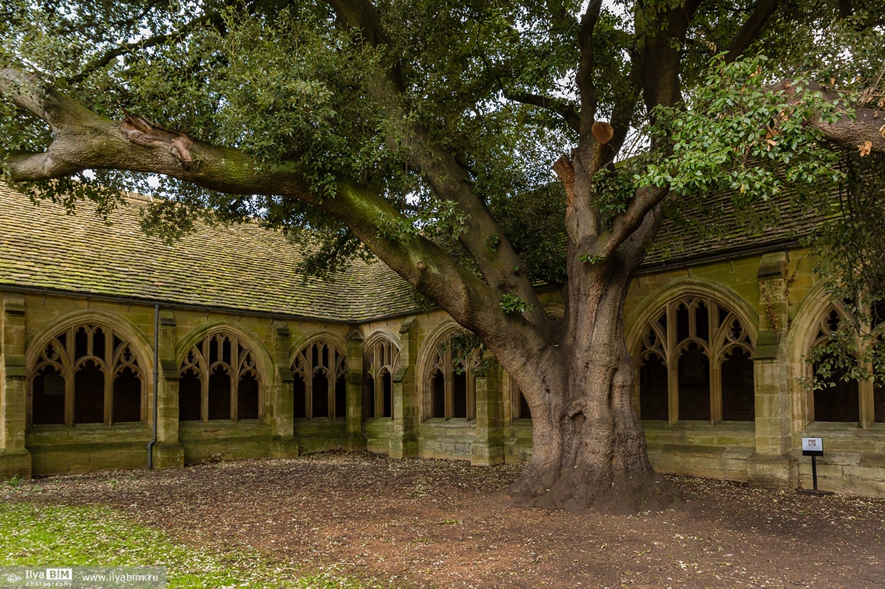 Oxford